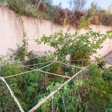 Apartament Myrtos Kefalonia *